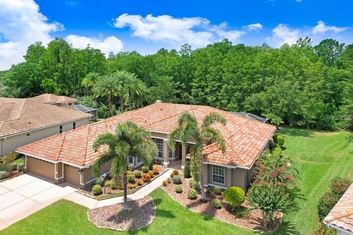 Property Photo:  12029 Brewster Drive  FL 33626 