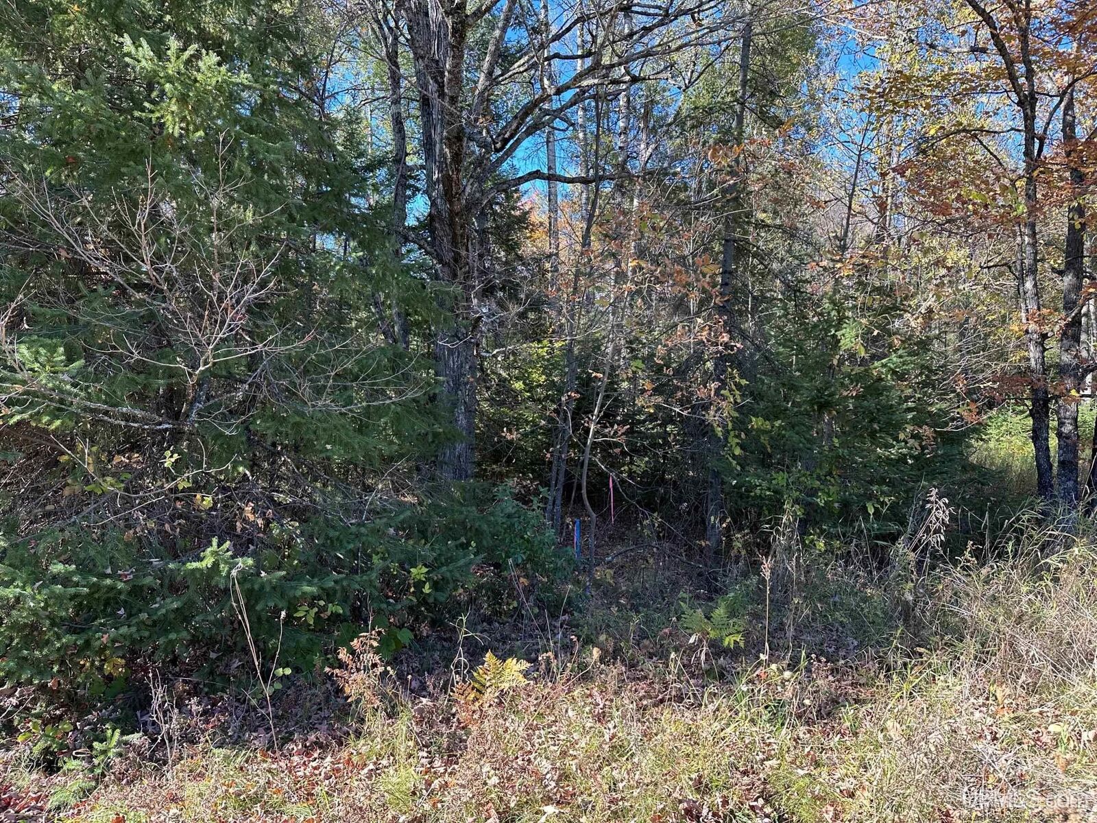 Property Photo:  Tbd Bloomgren Marsh Road  MI 49892 