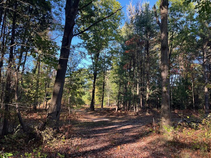 16553 Warner Street  Grand Haven MI 49417 photo