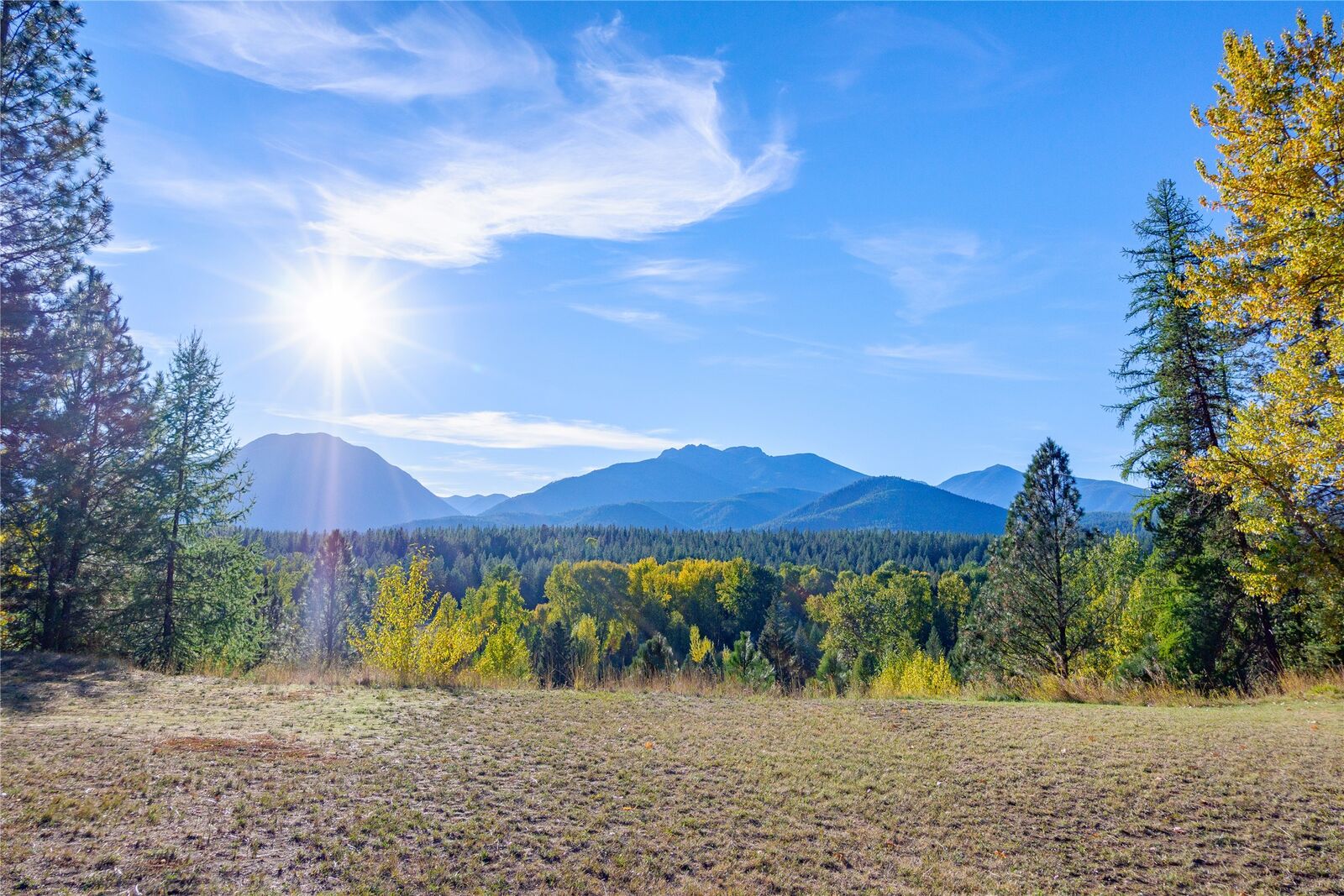 Property Photo:  163 Break Road  MT 59923 