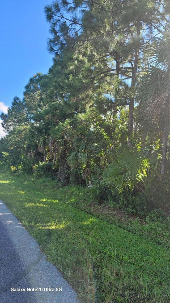 Property Photo: 3832 SW Janiga Street FL 34953