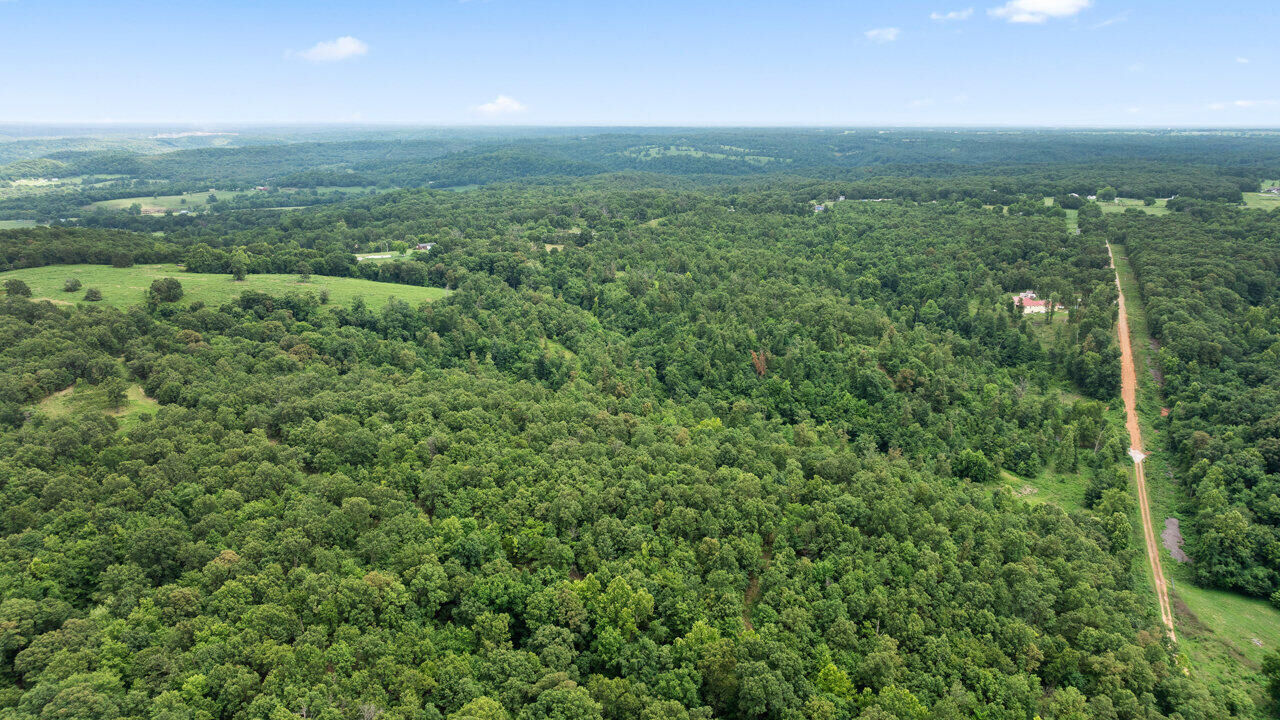 Property Photo:  Tract 11 Styles Road  MO 64854 
