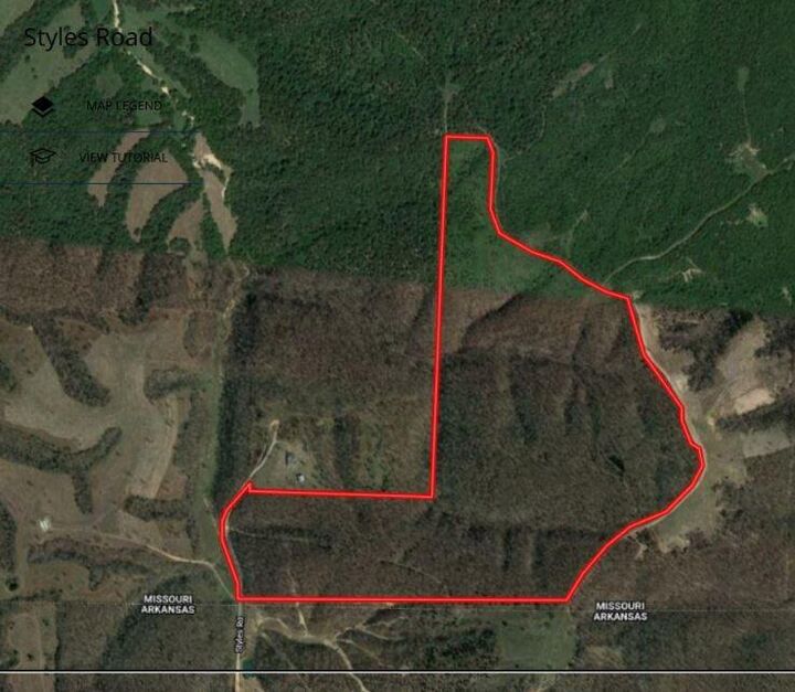 Property Photo: Tract 7 Styles Road MO 64854