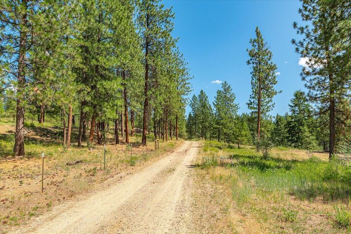 Property Photo: 786X Arden Butte Rd WA 99114