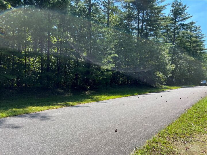 Property Photo:  20 Vineyard Park  SC 29685 