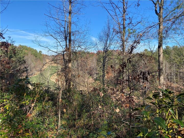 Property Photo: 120 Course View Way SC 29685
