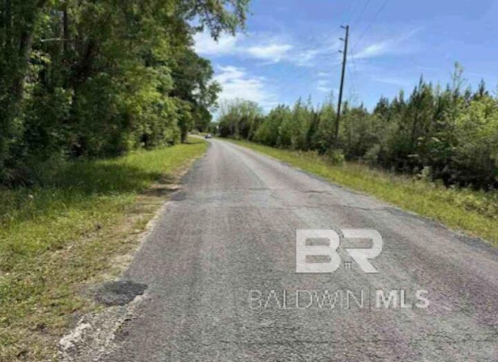 Property Photo:  0 Horace Odom Road  AL 36558 