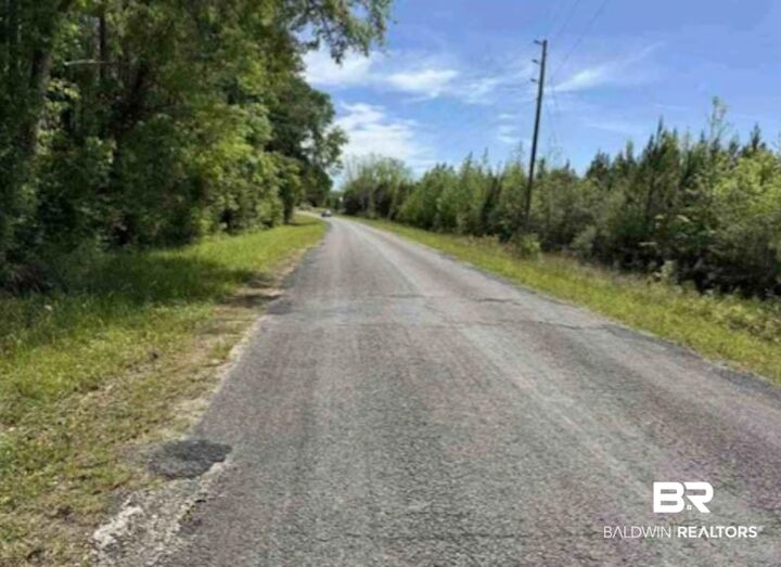 Property Photo:  0 Horace Odom Road  AL 36558 