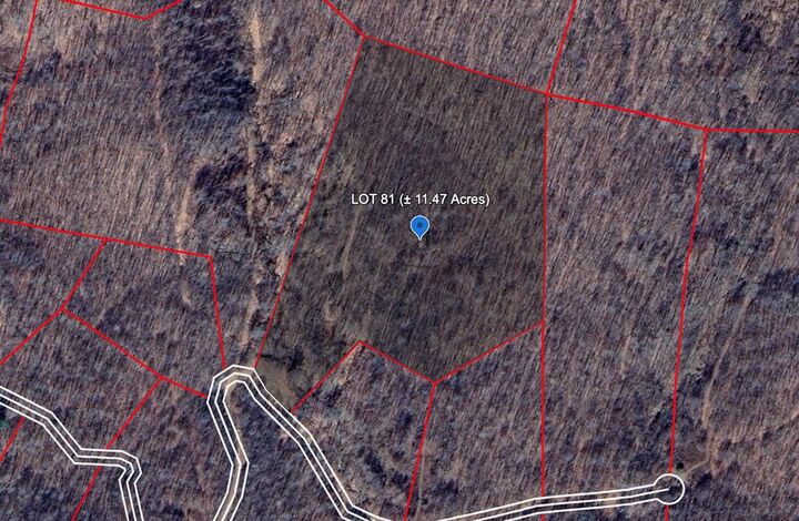 191 Gerber Daisy Trail  Bragg WV 25918 photo