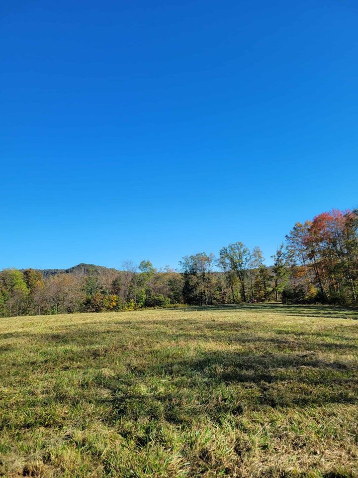 Property Photo: 0 Hurricane Ridge Road WV 25958