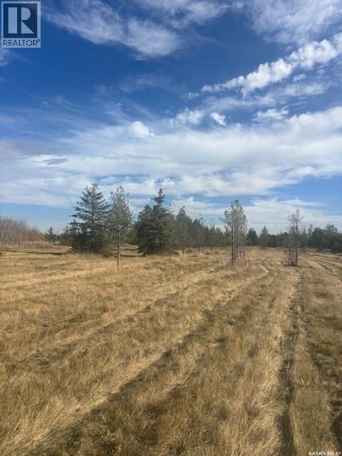 Property Photo:  Dieter Martin Greenhouse Ltd.  SK S0K 2L0 