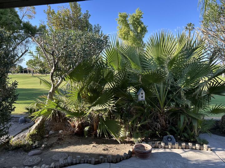 Property Photo: 73450 Country Club Drive 208 CA 92260
