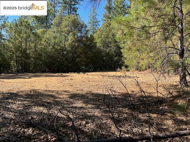 Property Photo: 0000 Comstock Ranch CA 95370