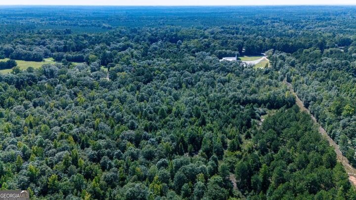Property Photo: 0 Branch Hebron Road GA 30222