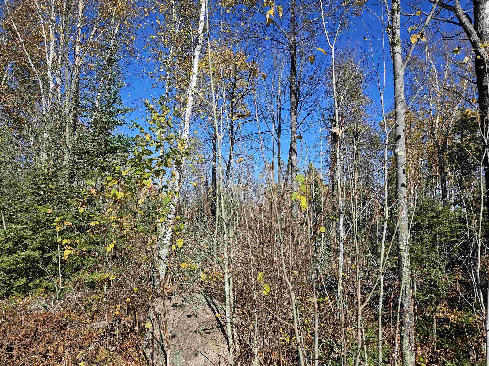 Property Photo: Xx Mattila Rd MN 55792