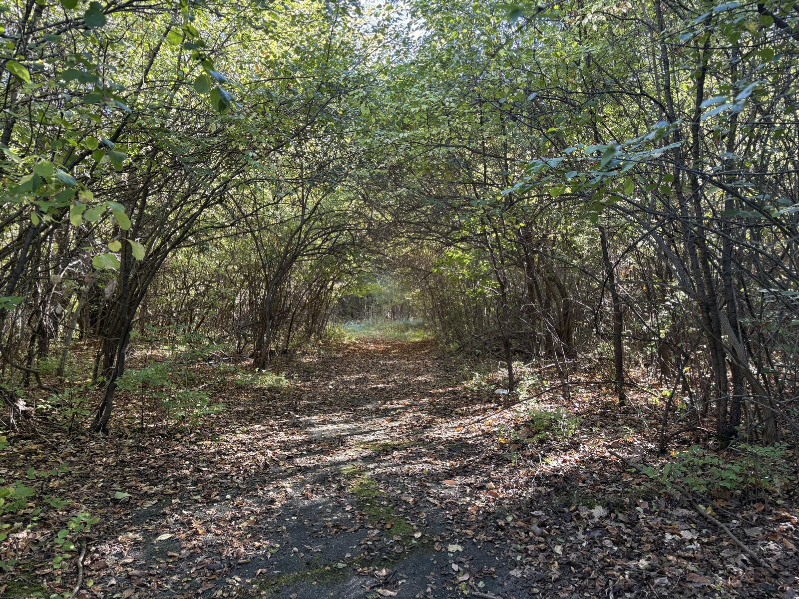 Property Photo: Vl 69 Clinton Way MI 49201