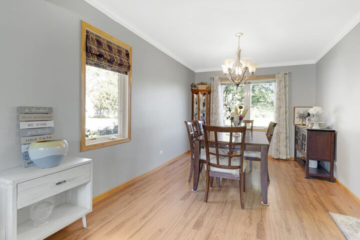 Property Photo:  3685 Ayr Court  IL 60417