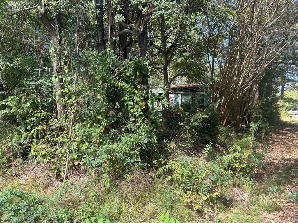 Property Photo: 623 Spruce St TX 75949
