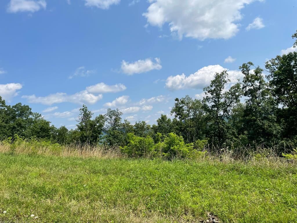 Property Photo: Lot 22A Hemlock Hills Rd PA 18848