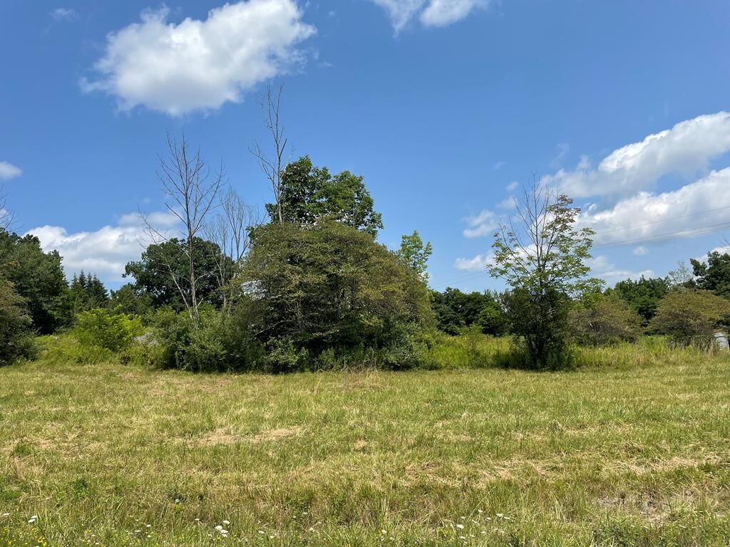 Property Photo: Lot 10A Hemlock Hills Rd PA 18848