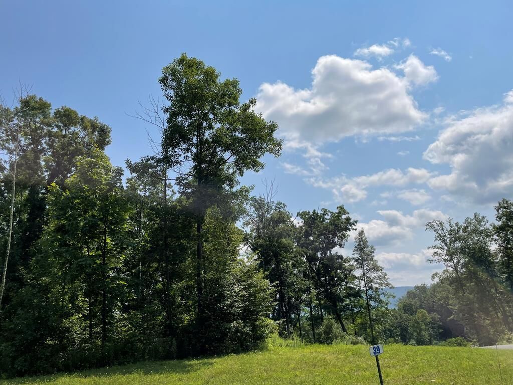 Property Photo: Lot 39A Hemlock Hills Rd PA 18848