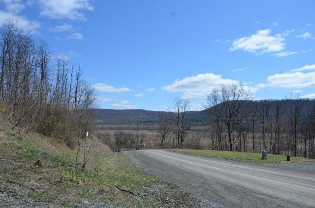 Property Photo:  Lot 17A Hemlock Hills Rd  PA 18848 