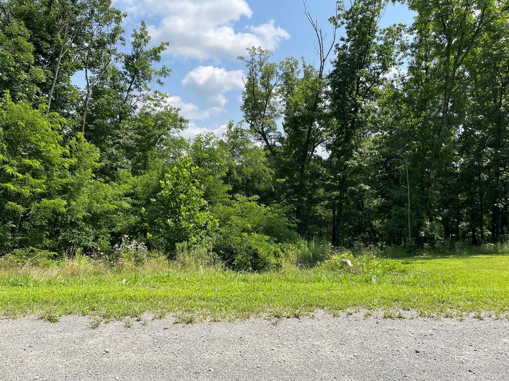 Property Photo: Lot 25A Hemlock Hills Rd PA 18848