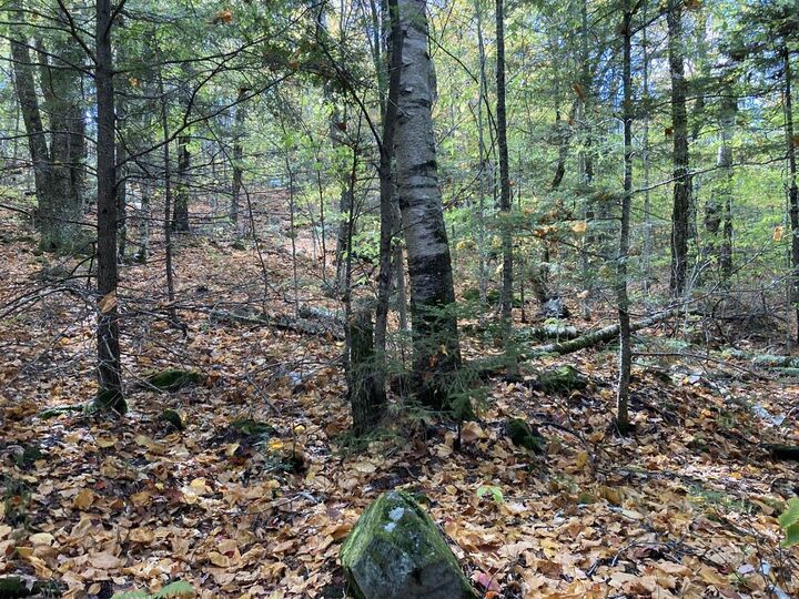 Property Photo: Abnaki Trail NH 03223