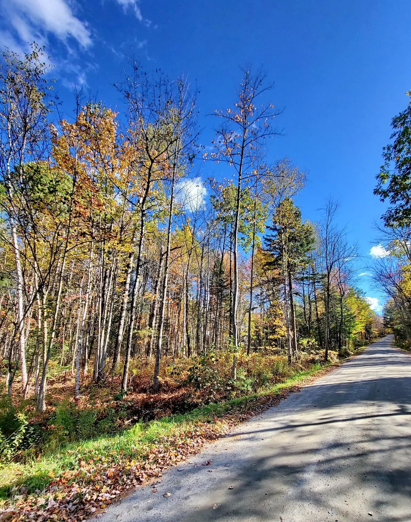 Property Photo:  00 Swazey Lane  NH 03574 