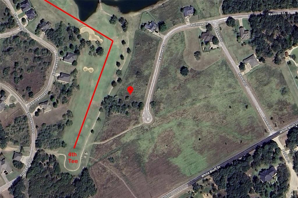 Property Photo:  22026 Raintree Court  TX 76692 