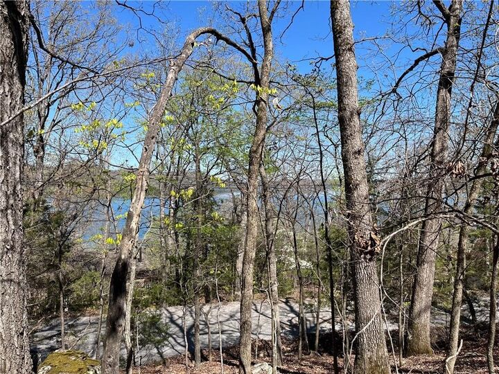 Lot 13 Dogwood Drive  Rogers AR 72732 photo