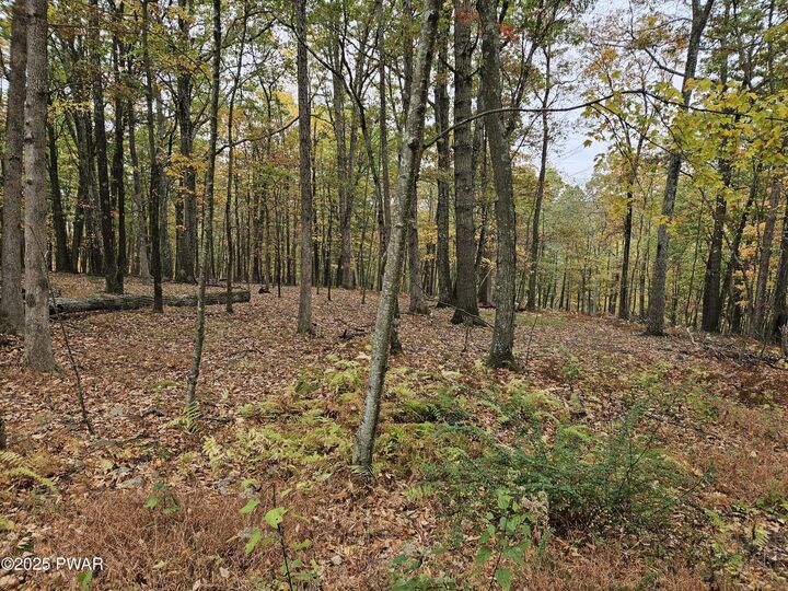 Property Photo:  215 &Amp216 Meadow Lark Circle Circle  PA 18324