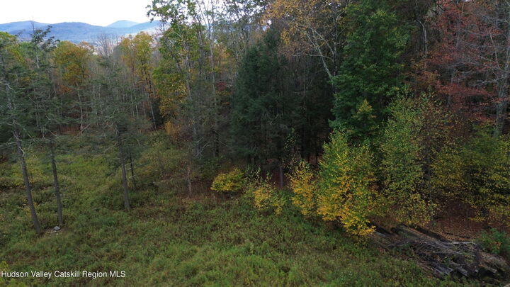 Property Photo:  0 North Ridge  NY 12496 