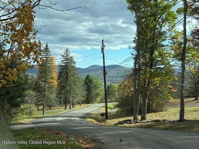 Property Photo:  0 North Ridge  NY 12496 