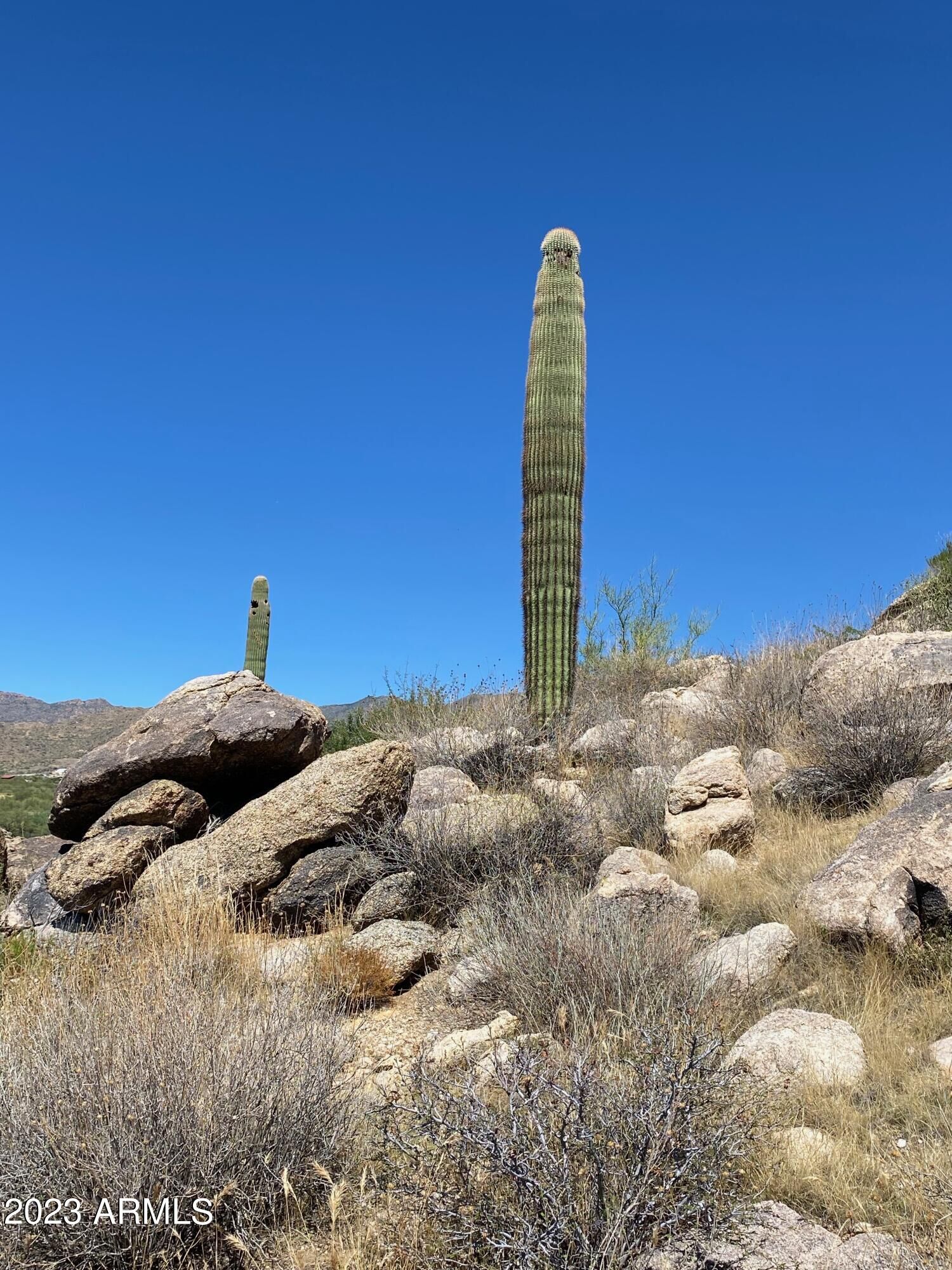 Property Photo:  23325 W Gold Dollar Trail -  AZ 85332