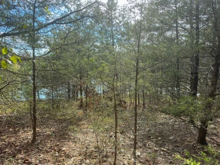 Property Photo: 000 San Juan Trail AR 72529