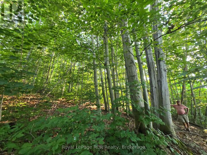 Property Photo:  126 Old Highway 26 Highway  ON N4L 1W7 