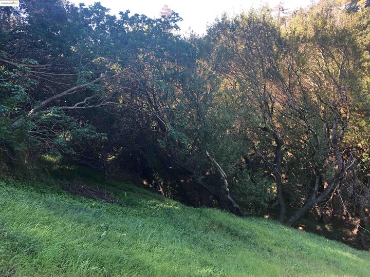 Property Photo: 4145 Oak Hill Rd CA 94605