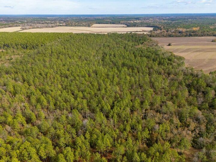 Property Photo: 0000 N Bob Brooks Road FL 32531
