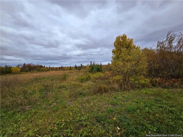 Property Photo:  8782sm Blvd Des Acadiens  NB E1W 1L9 