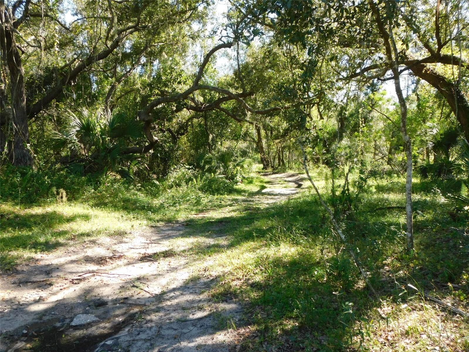 Property Photo: 2221 NW Pine View Road FL 34266