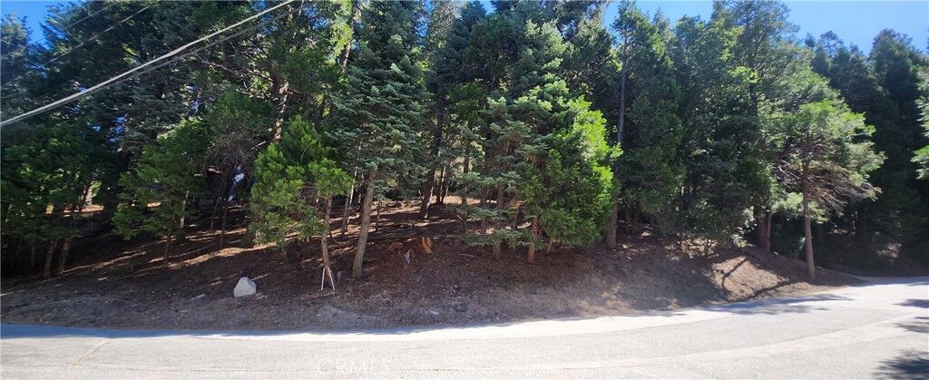 Property Photo: 0 Albrun Drive CA 92325