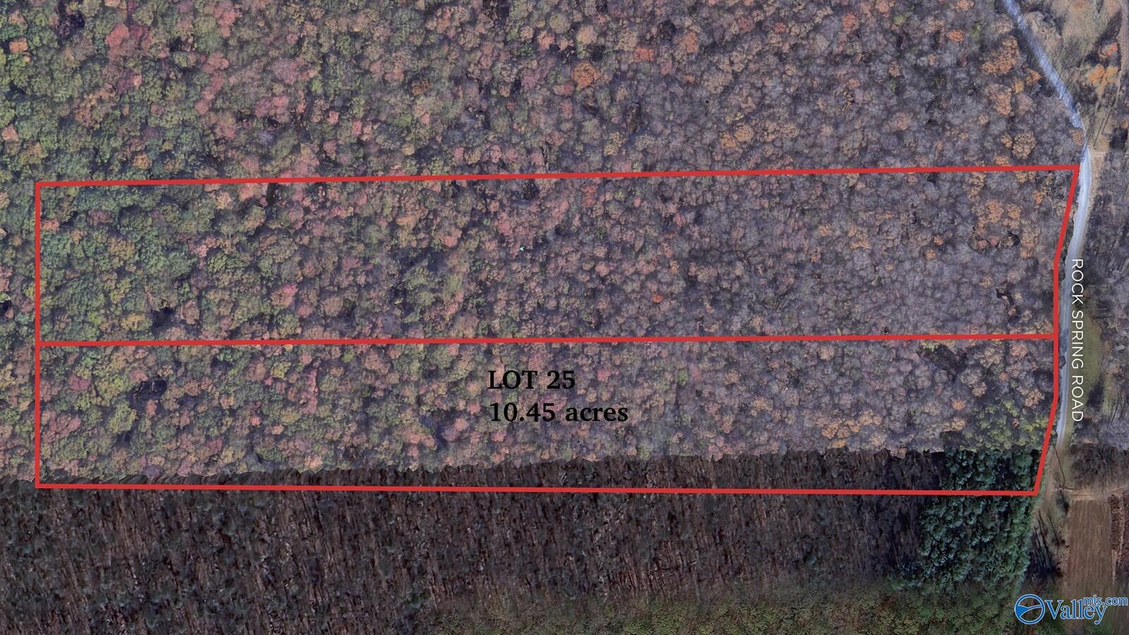 Property Photo: 10.45 Acres Rock Spring Road AL 35763