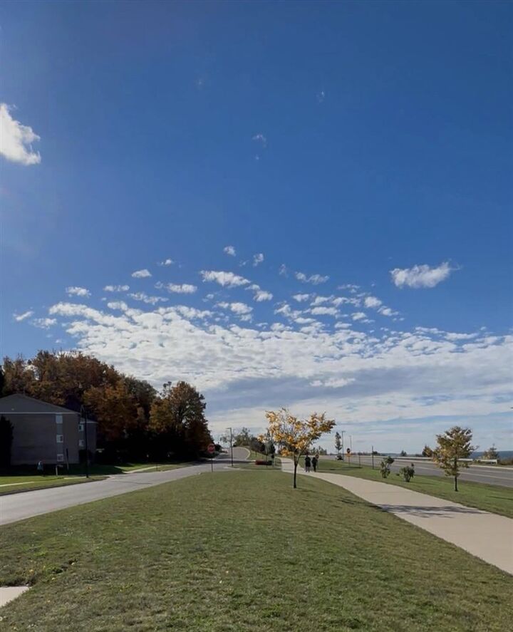 Property Photo:  804 Arlington Ave 6  MI 49770 