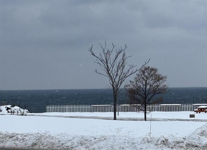 Property Photo:  804 Arlington Ave 6  MI 49770 