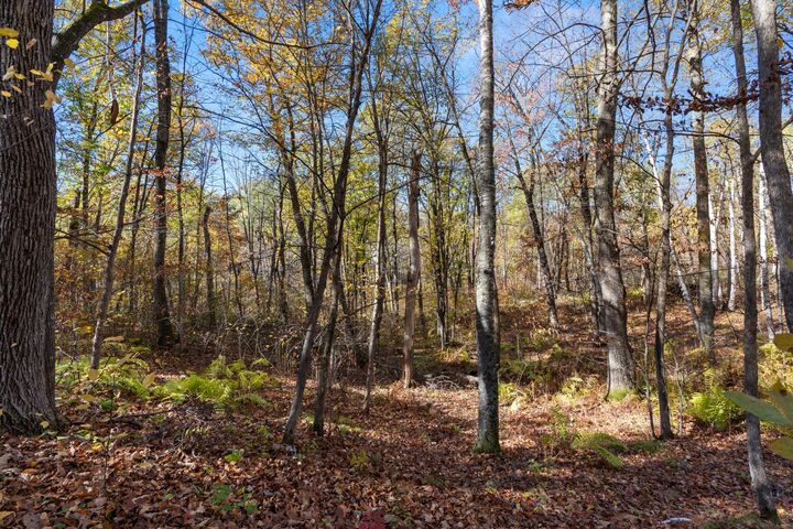 Property Photo: 40401 Little Pine River Road MN 56447