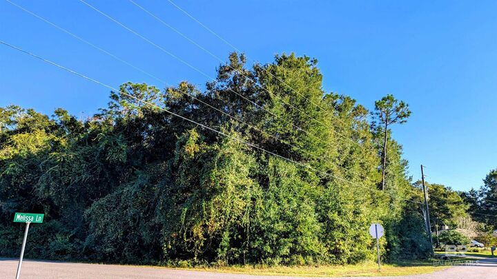 Property Photo:  0 Pickens Avenue  AL 36549 