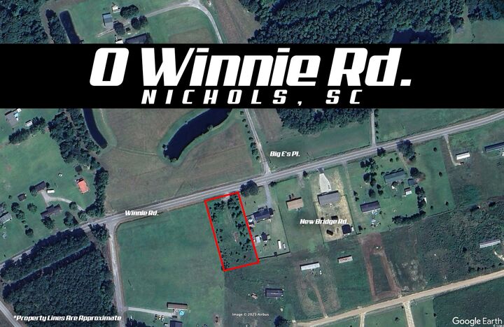0 Winnie Rd.  Nichols SC 29581 photo