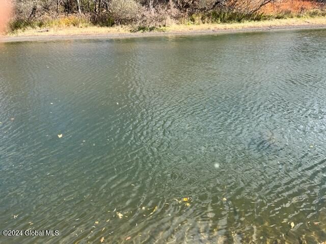 Property Photo:  L50.1 State Highway 8  NY 13411 