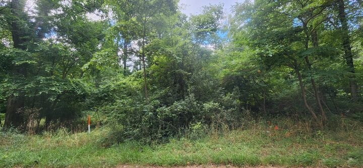 Property Photo:  51733 Baseline Road  MI 49056 